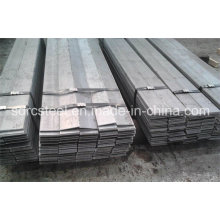 Flat Steel (bars) with Competitive Price